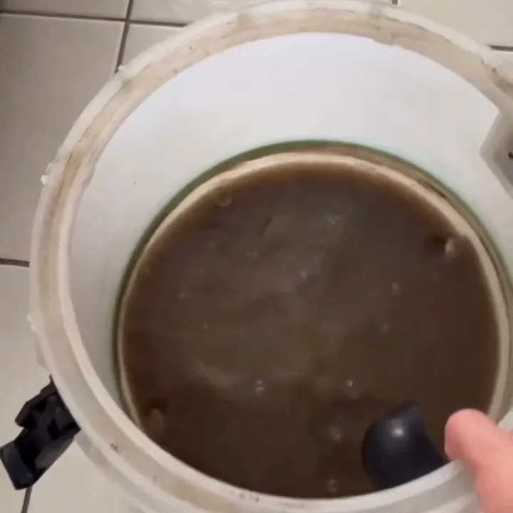 Balde com a água escura extraída de um sofá durante a higienização