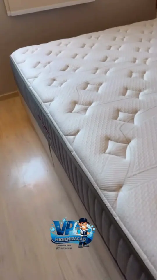 Sofá e colchão higienizados